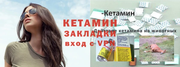 индика Ростов