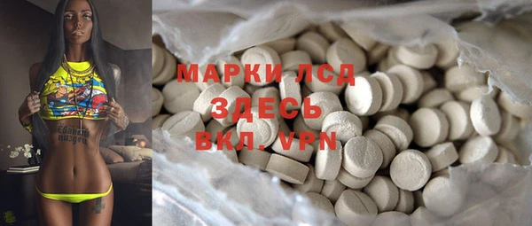 гашик Россошь