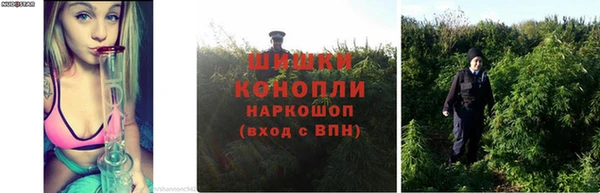 ALPHA PVP Абаза