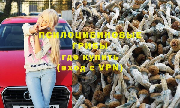 индика Ростов