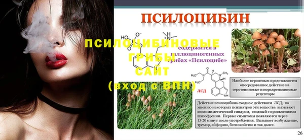 стаф Абдулино