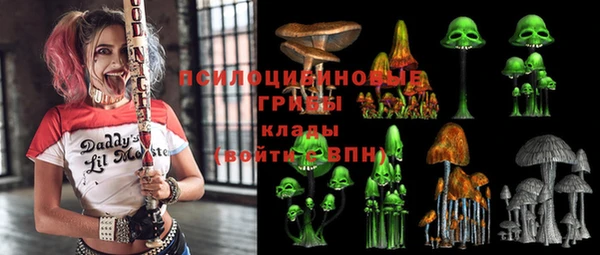 гашик Россошь