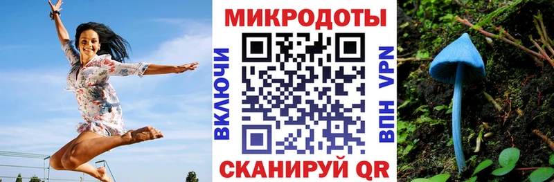 Галлюциногенные грибы прущие грибы  Верхоянск 